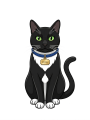 Ollie.webp